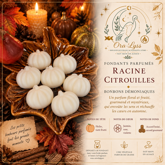 Citrouilles – Fondants parfumés